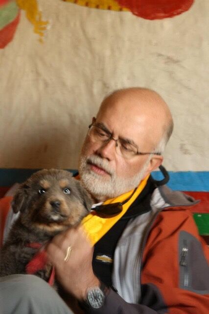 Copy of Ambassadors dog 3.jpeg